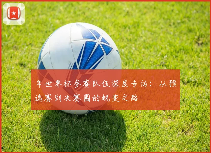 年世界杯参赛队伍深度专访：从预选赛到决赛圈的蜕变之路