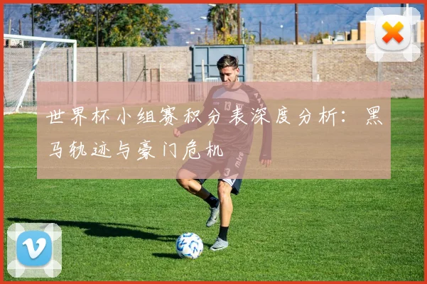 世界杯小组赛积分表深度分析：黑马轨迹与豪门危机