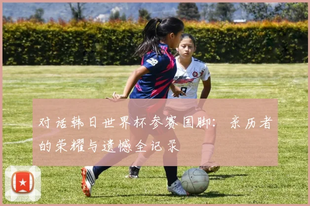 对话韩日世界杯参赛国脚：亲历者的荣耀与遗憾全记录