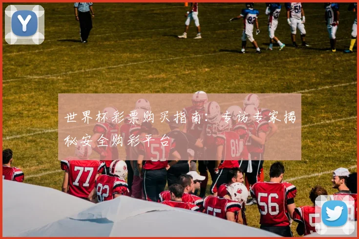 世界杯彩票购买指南：专访专家揭秘安全购彩平台