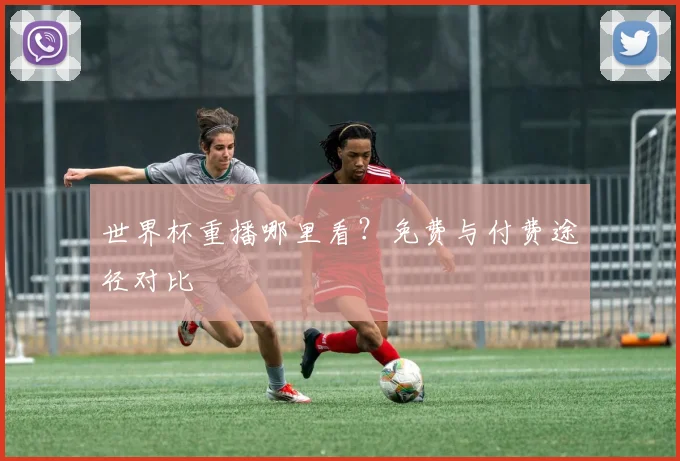 世界杯重播哪里看?免费与付费途径对比