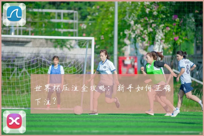 世界杯压注全攻略:新手如何正确下注?