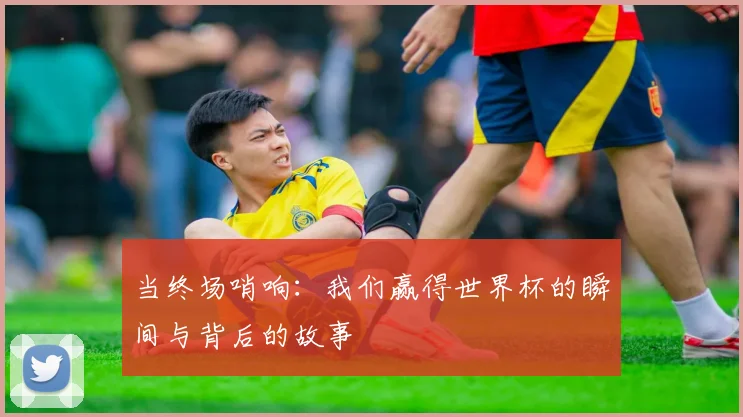 当终场哨响：我们赢得世界杯的瞬间与背后的故事