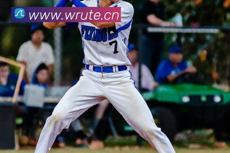 乐鱼在线网页版平台生态图