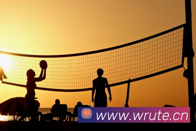 乐鱼在线网页版APP 封面图